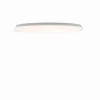 Clearance Clara Væglampe og Loftlampe Væglamper|Loftlamper