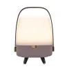 Clearance Lite-up Play Mini 2.0 LED lampe m/JBL højtaler, earth Lamper I Træ|Transportable Lamper