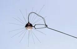 Online Mozzkito bordlampe Bordlamper