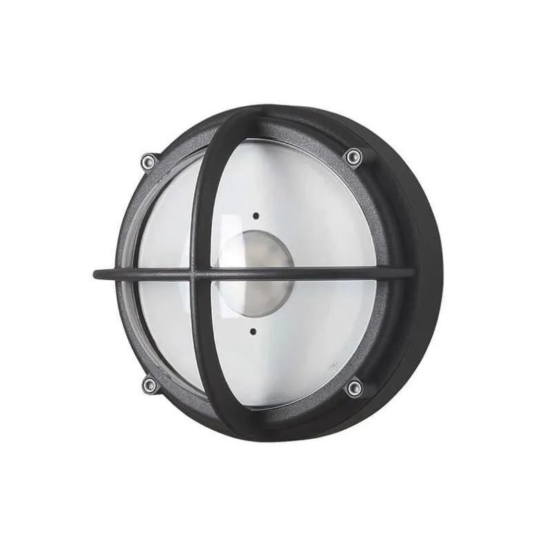 Discount Skot LED udendørs væglampe / loftlampe, klar/grafit Sommerhus Lamper|Væglamper